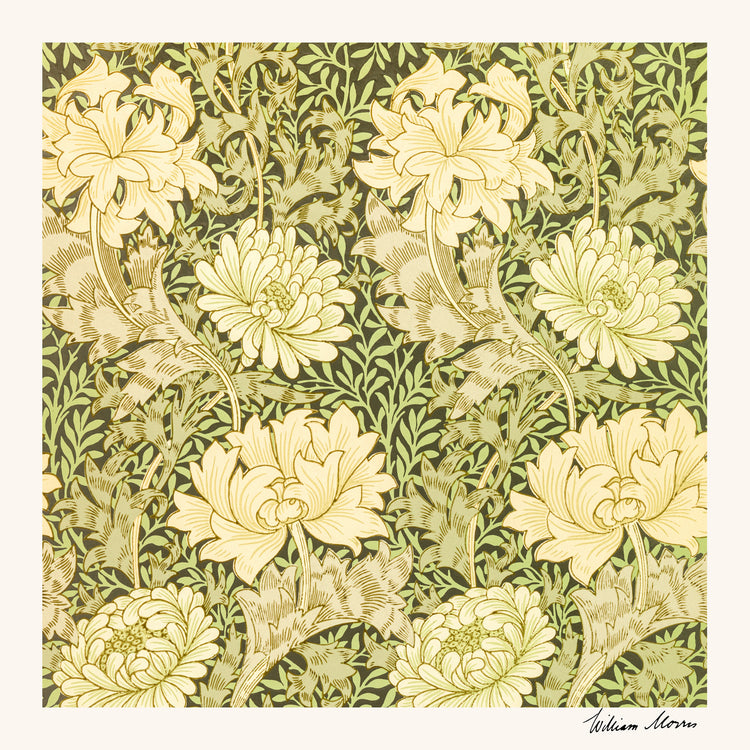 The Chrysanthemum Pattern by William Morris Poster features a vintage floral design with large, cream chrysanthemums and leafy stems on a green background, capturing the essence of Morriss iconic style.