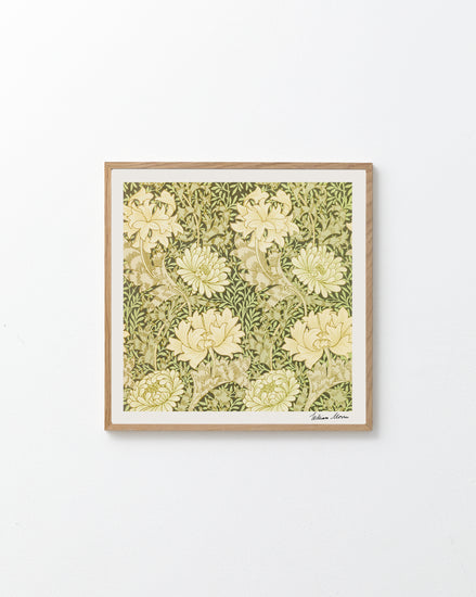 A Chrysanthemum Pattern by William Morris poster, adorned with vintage-style floral patterns, displays cream chrysanthemum flowers and green leaves on a white wall.