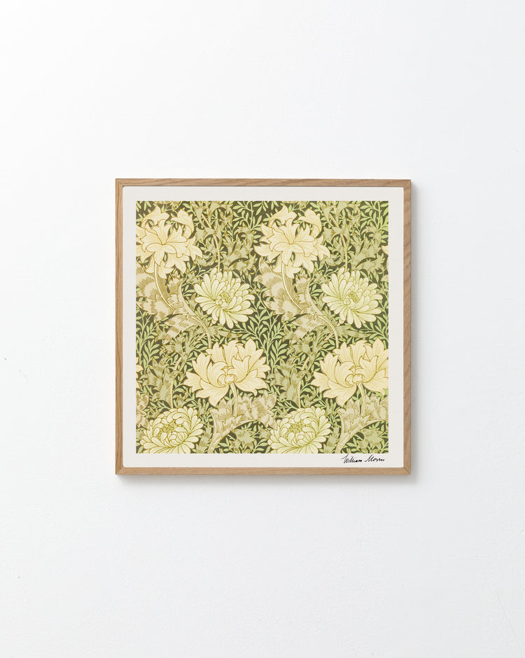 A Chrysanthemum Pattern by William Morris poster, adorned with vintage-style floral patterns, displays cream chrysanthemum flowers and green leaves on a white wall.