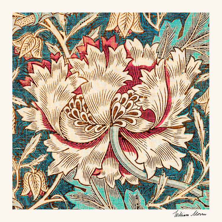 The Honeysuckle by William Morris poster features a large, intricate flower with cream, red, and brown petals against a vivid blue backdrop adorned with leaves, capturing the Arts and Crafts era elegance.