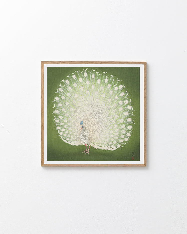 Framed artwork of a peacock with a green background