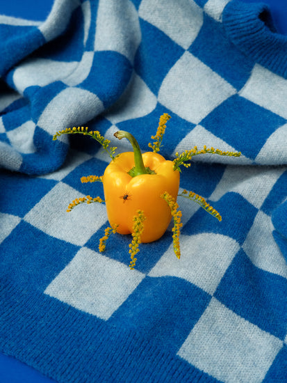 The Little Visitor Poster depicts a yellow bell pepper adorned with small yellow flowers, resting on a blue and gray checkered fabric, adding a playful, cheerful vibe.