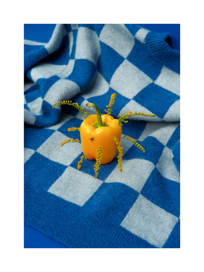A yellow bell pepper with small flowers on a blue and white checkered fabric evokes a playful vibe against the blue surface, reminiscent of a Little Visitor Poster.