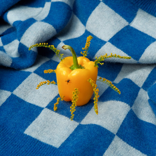 The Little Visitor Poster, featuring a vibrant yellow bell pepper adorned with tiny wings and yellow flowers, rests on a playful blue and gray plaid backdrop, akin to Sofie Sunds unique artistry.
