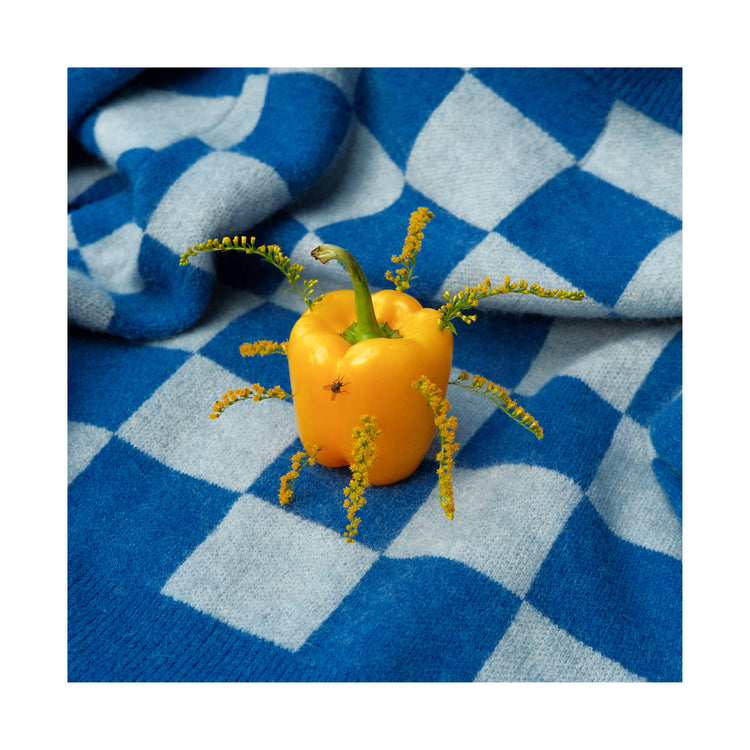 A yellow bell pepper with sprouting green stems rests on a blue and white checkered blanket, a playful composition with a small insect visible. This scene mirrors the vibrant charm of the Little Visitor Poster by Sofie Sund.