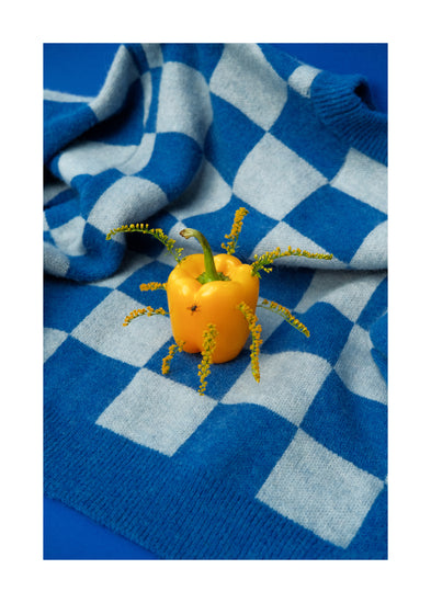 A whimsical yellow bell pepper with small flower legs sits on a blue and white checkered blanket against a blue background, reflecting the playful creativity of Sofie Sunds unique style in the Little Visitor Poster.