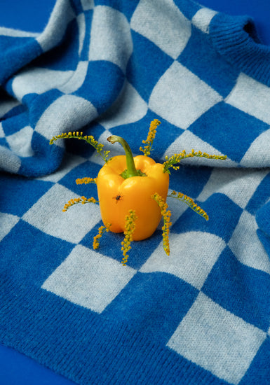 The Little Visitor Poster showcases a yellow bell pepper on a blue and white checkered fabric, embellished with small yellow flowering stems, creating a whimsical and playful scene that resembles a bright and lively poster come to life.