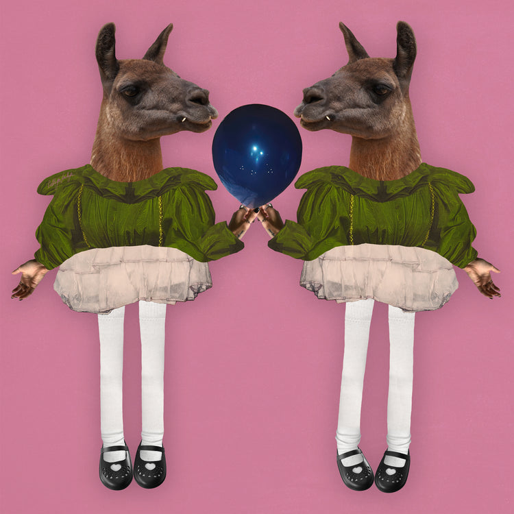 Barbie Lamas Poster
