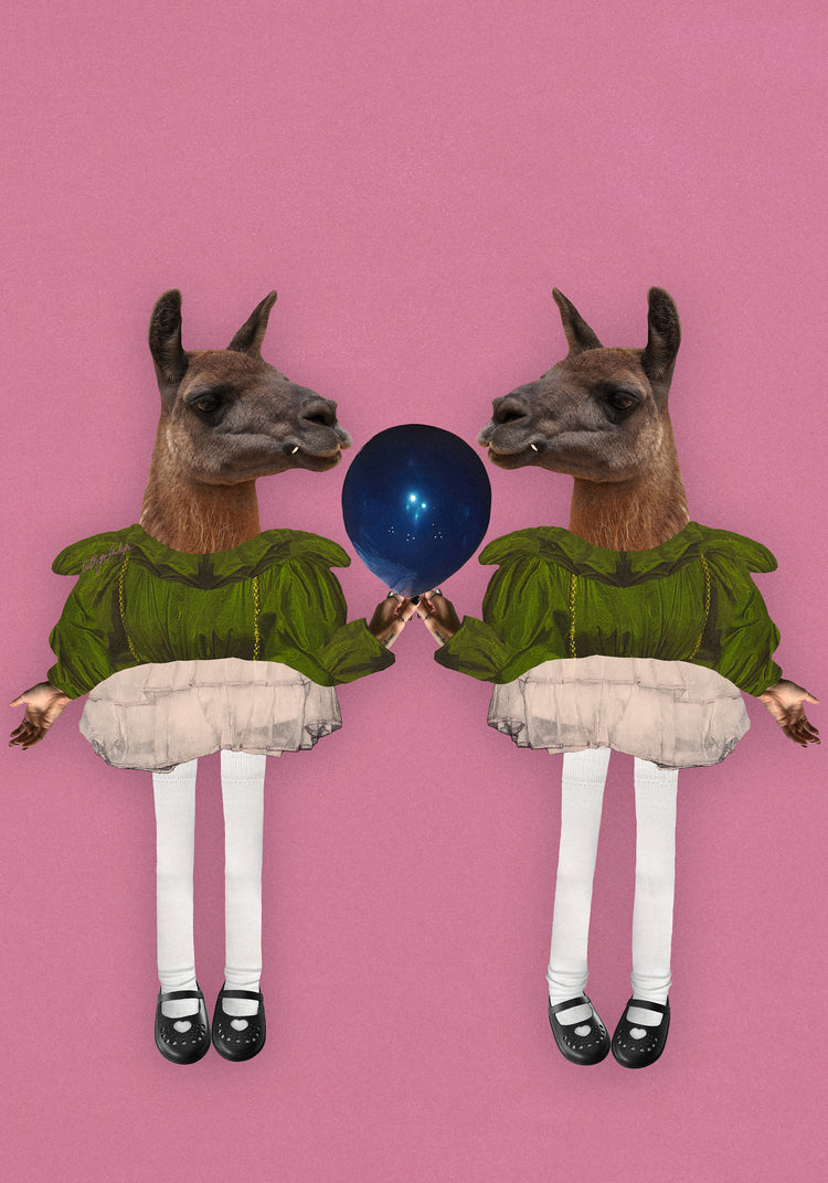 Barbie Lamas Poster
