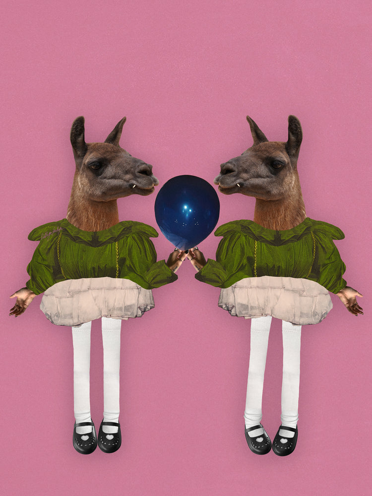 Barbie Lamas Poster