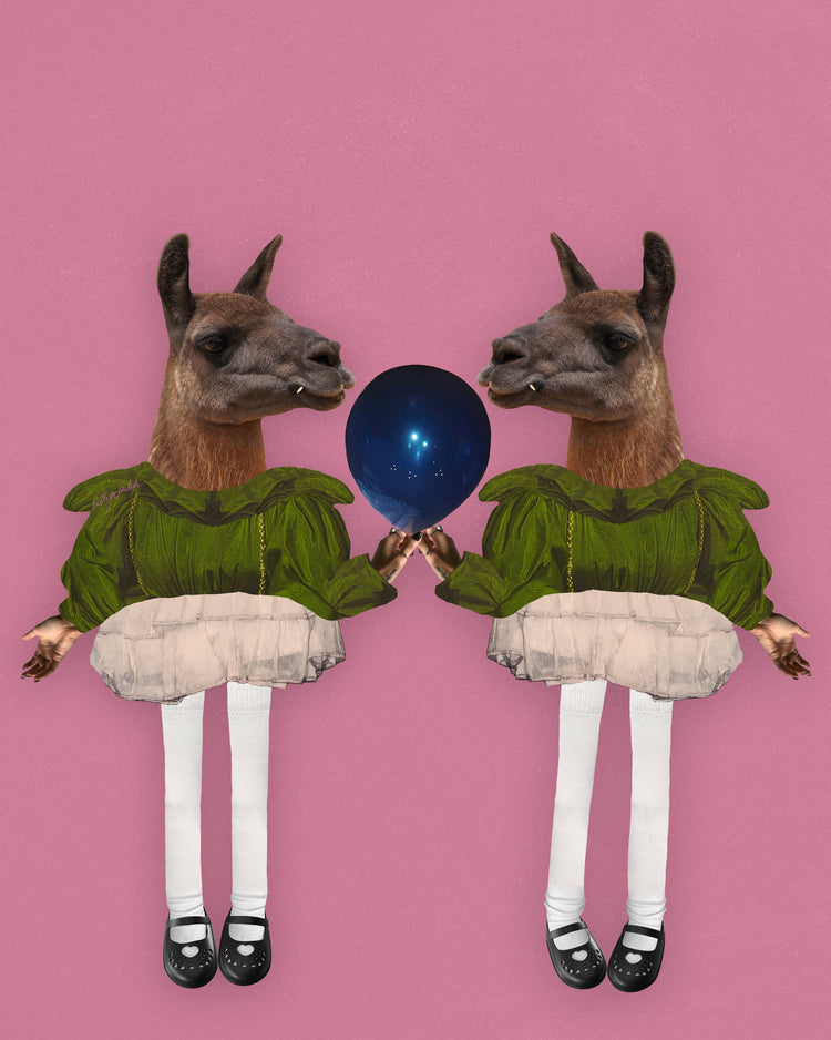 Barbie Lamas Poster
