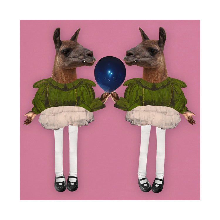 Barbie Lamas Poster