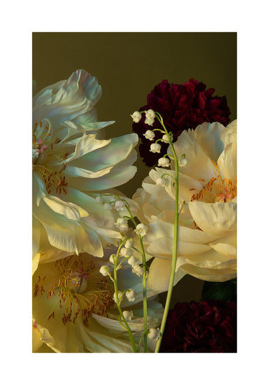 The Peony & Lily of the Valley Poster features a still life photo showcasing pale yellow peonies and white clusters of Lily of the Valley on green stems against a dark green backdrop, accented by deep red flowers.