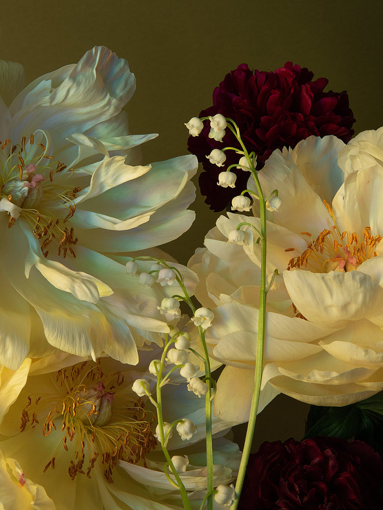 The Peony & Lily of the Valley Poster features a close-up of pale yellow peonies, delicate lily of the valley flowers, and deep burgundy blossoms on a muted green background, with light enhancing depth and vibrancy.