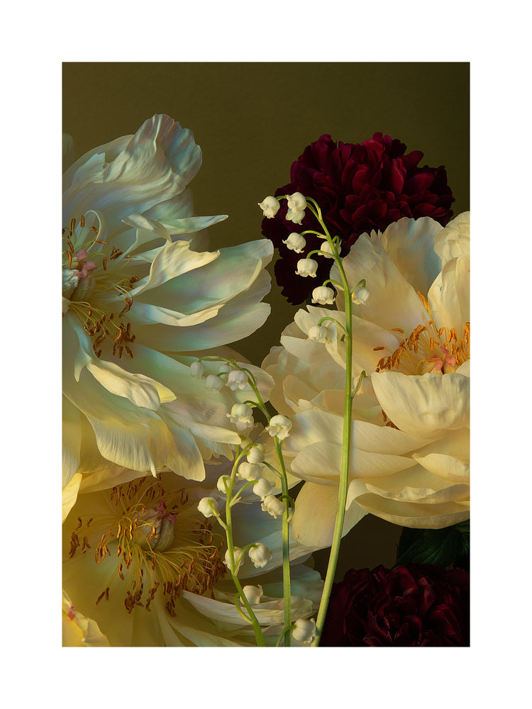 The Peony & Lily of the Valley Poster features a close-up still life of pale yellow peonies, lily of the valley, and burgundy flowers on a muted green background. Sunlight gently highlights their delicate textures.