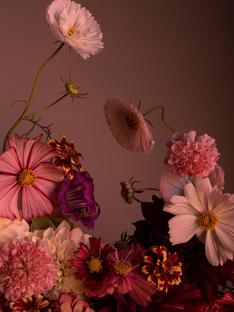 The Dreamscape Poster showcases a vibrant floral landscape with cosmos and zinnias in pink, red, and purple hues. The blooms are set against a neutral background with warm, moody lighting, while elegantly curved stems add flow to the composition.
