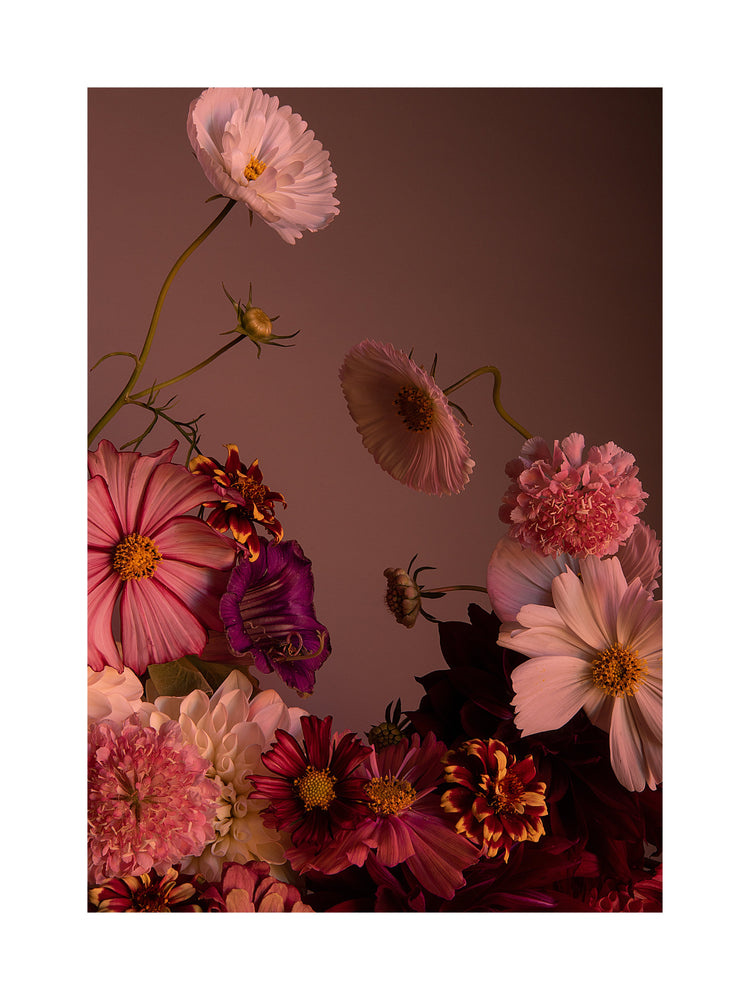 The Dreamscape Poster showcases a bouquet of pink cosmos, dahlias, and zinnias arranged on a soft background. The lighting highlights the textures and vibrant colors, crafting an elegant, serene floral composition.