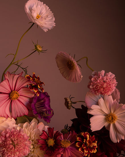 The Dreamscape Poster showcases a stunning floral arrangement of pink and white cosmos, vibrant zinnias, deep red blossoms, and pink carnations against a dark backdrop. The lighting casts a warm, dramatic effect on this exquisite botanical landscape.