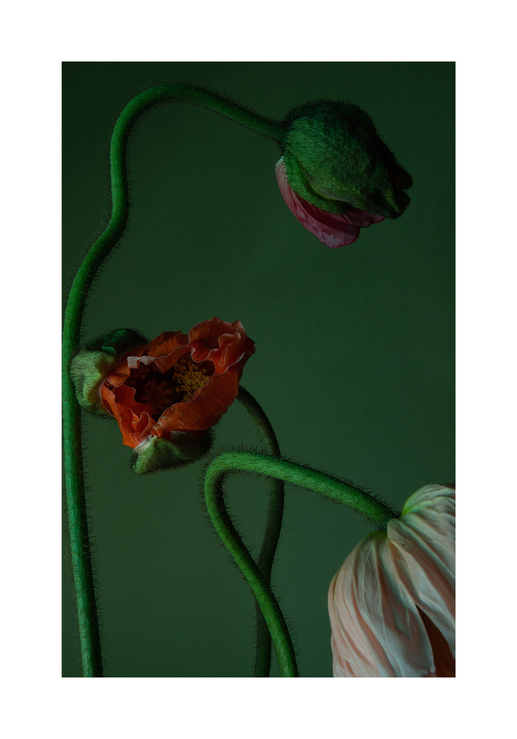 The Dance II Poster