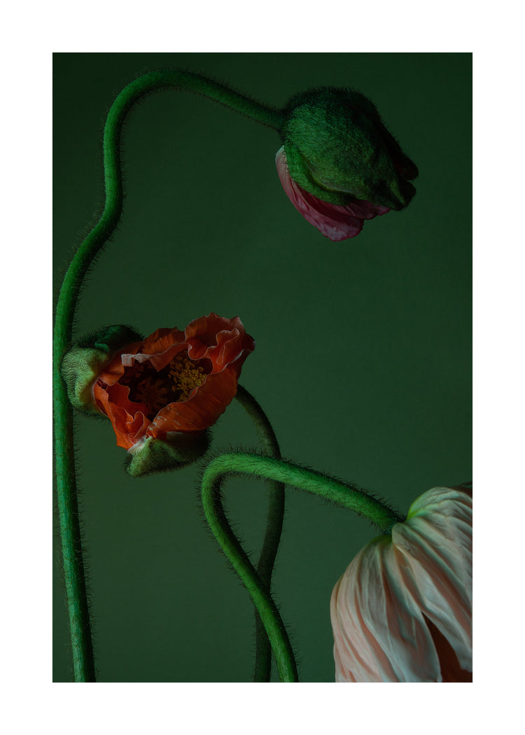 The Dance II Poster