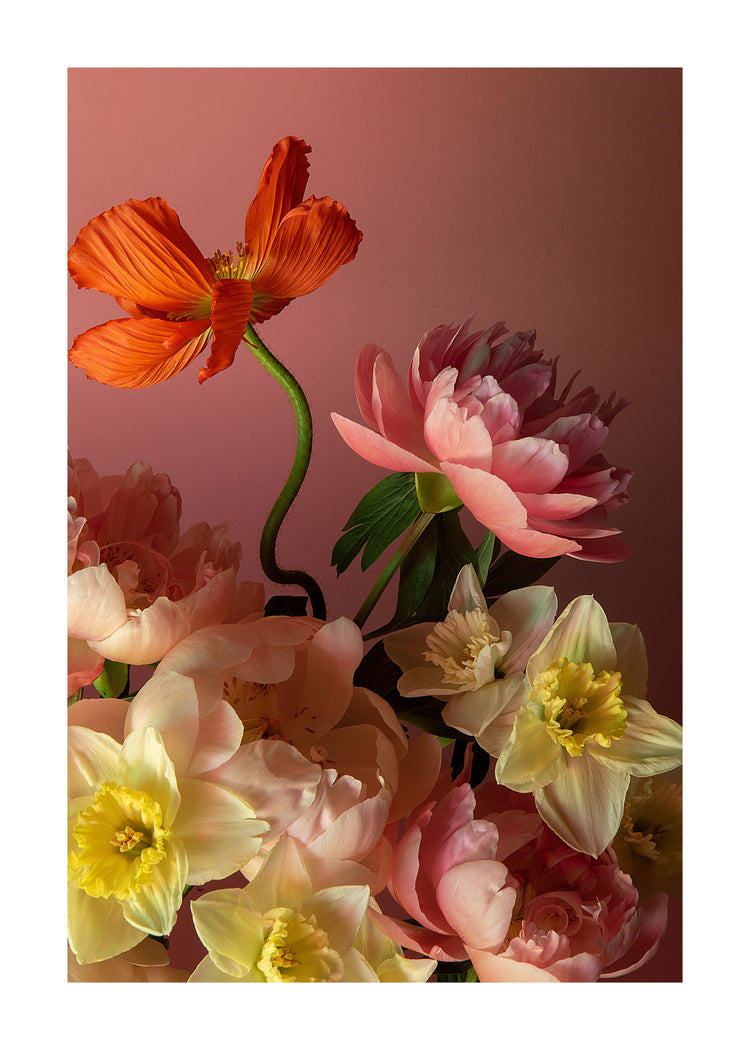 Close-up of the Sprung Poster featuring a still life with orange poppies, pink peonies, and pale yellow daffodils against a soft pink backdrop. The vibrant colors and diverse textures create a striking, elegant display.
