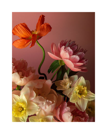 The Sprung Poster features a vibrant still life photograph with orange poppies, pink peonies, and pale yellow daffodils against a pink background, highlighting dynamic colors and textures.