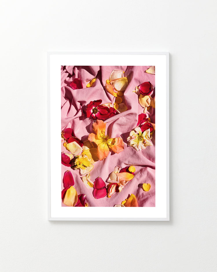 Fallen Garden Roses Poster
