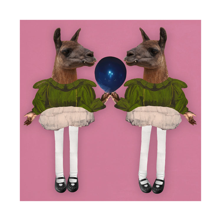 Barbie Lamas Poster