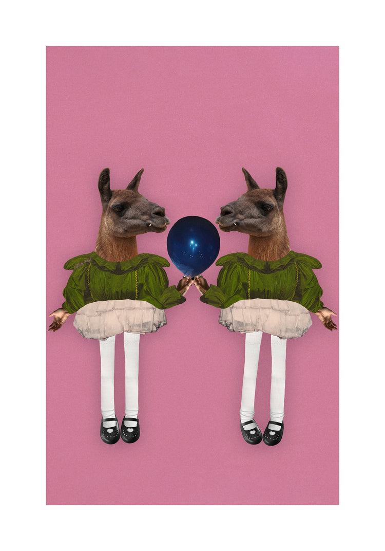 Barbie Lamas Poster