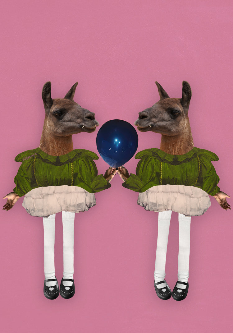 Barbie Lamas Poster