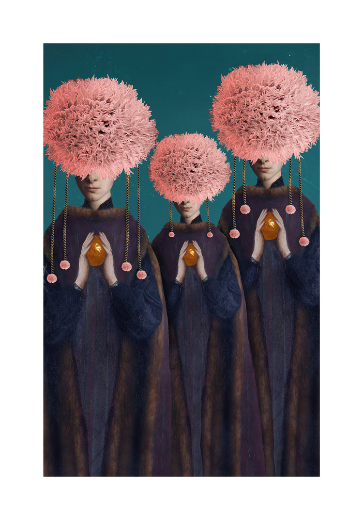Cycas Poster