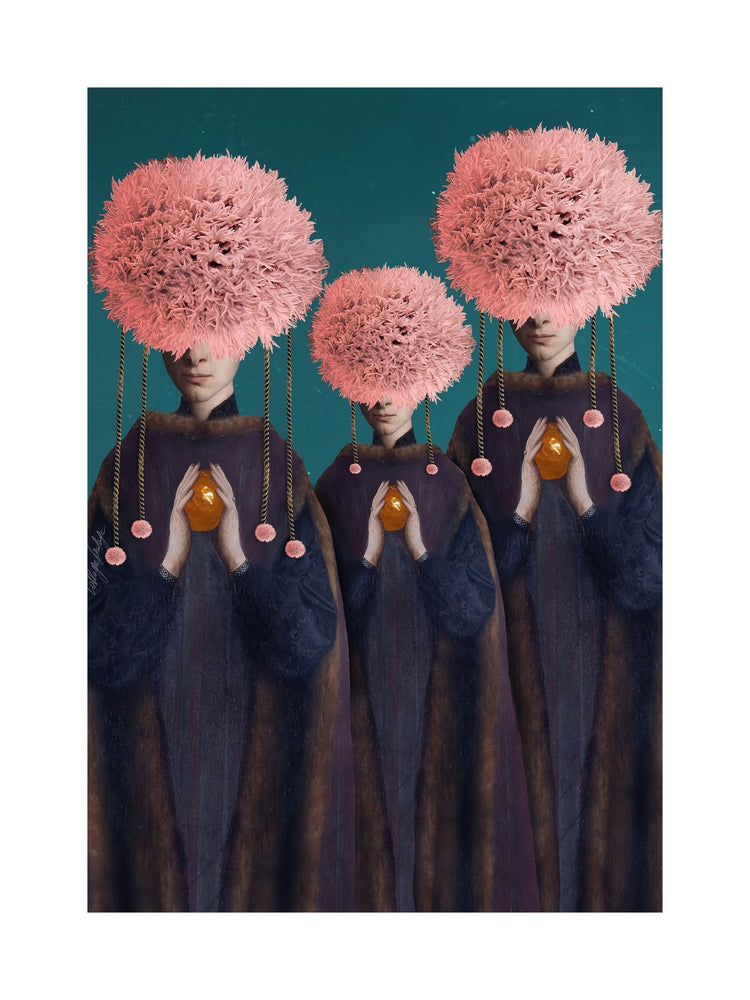 Cycas Poster