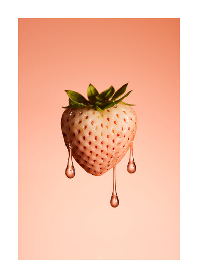 A stilllife photograph of a flawless white strawberry on a pretty pink background. White border.
