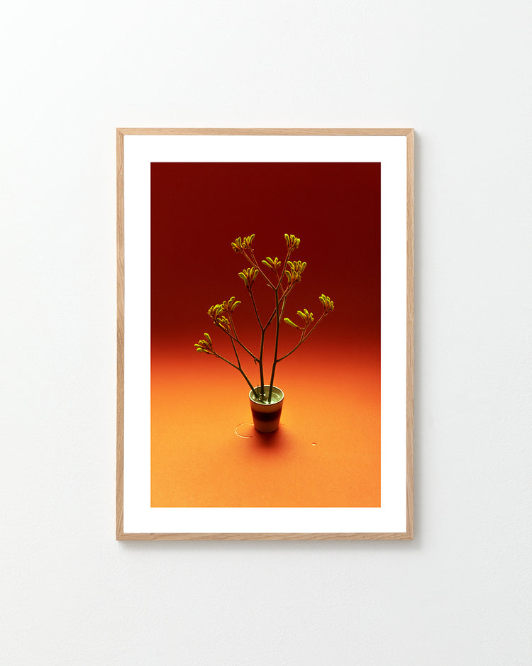 A Touch of Warmth Poster