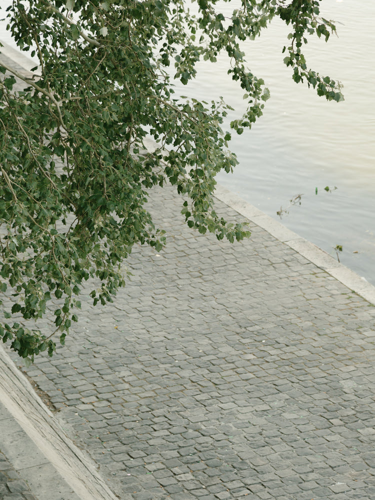 The Seine Poster