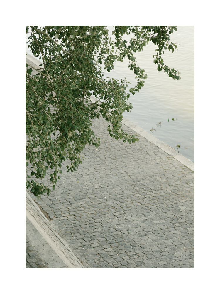 The Seine Poster