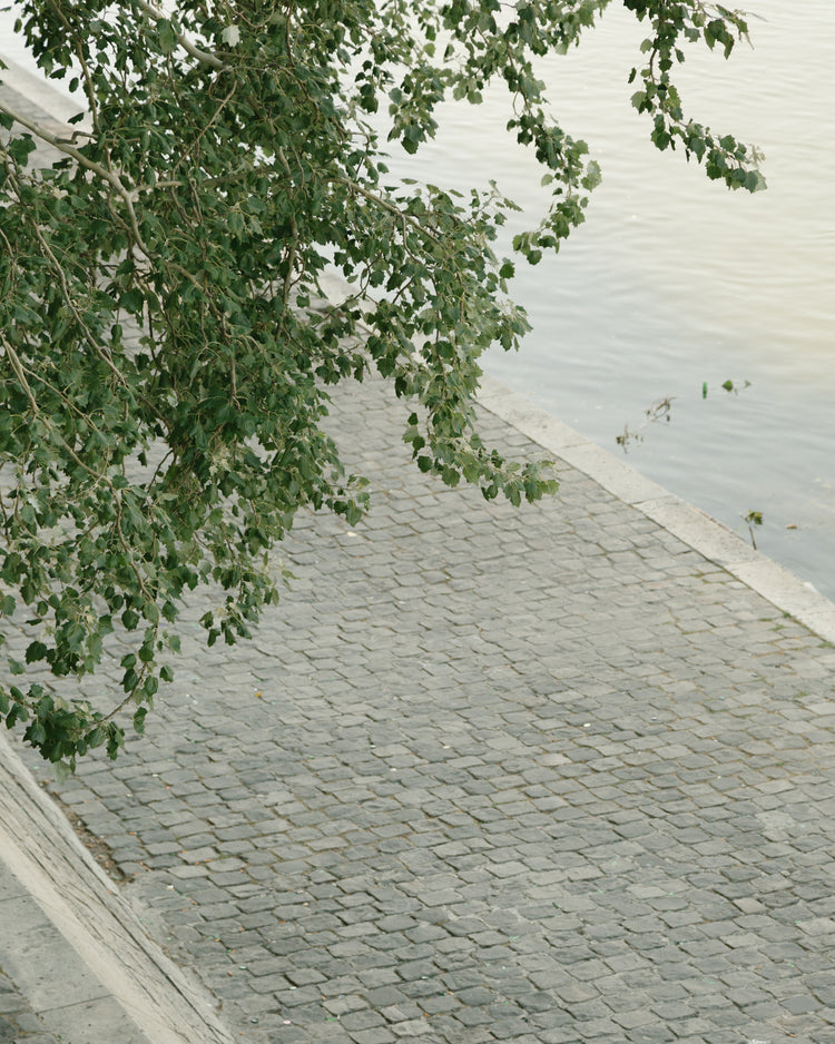 The Seine Poster