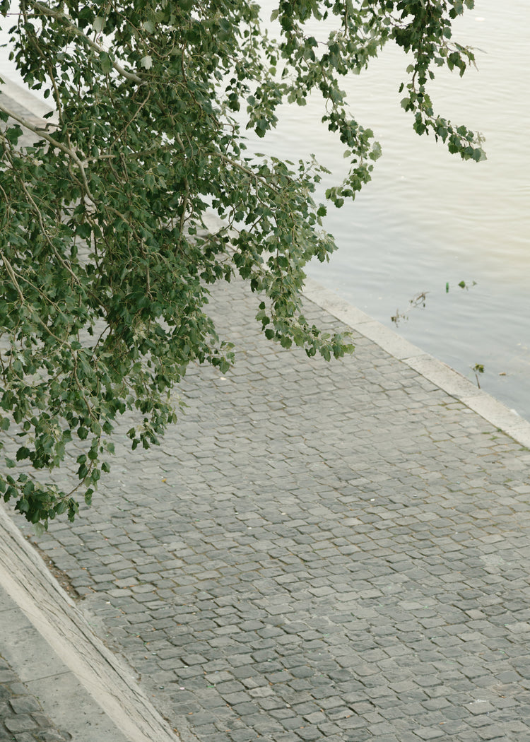 The Seine Poster