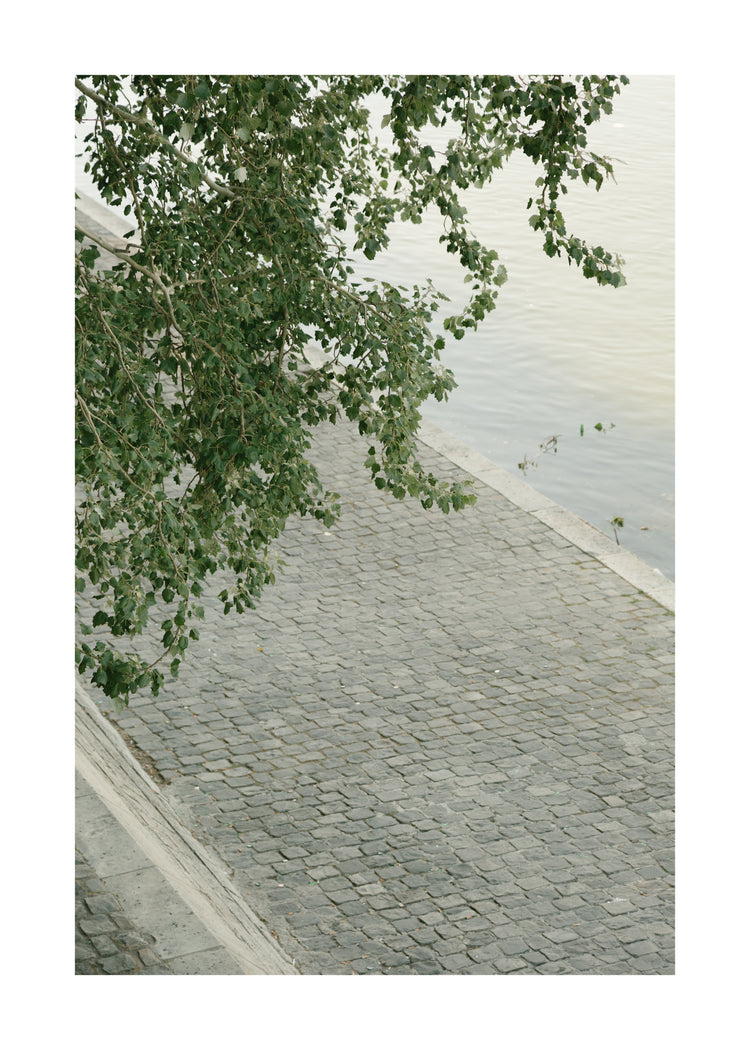 The Seine Poster