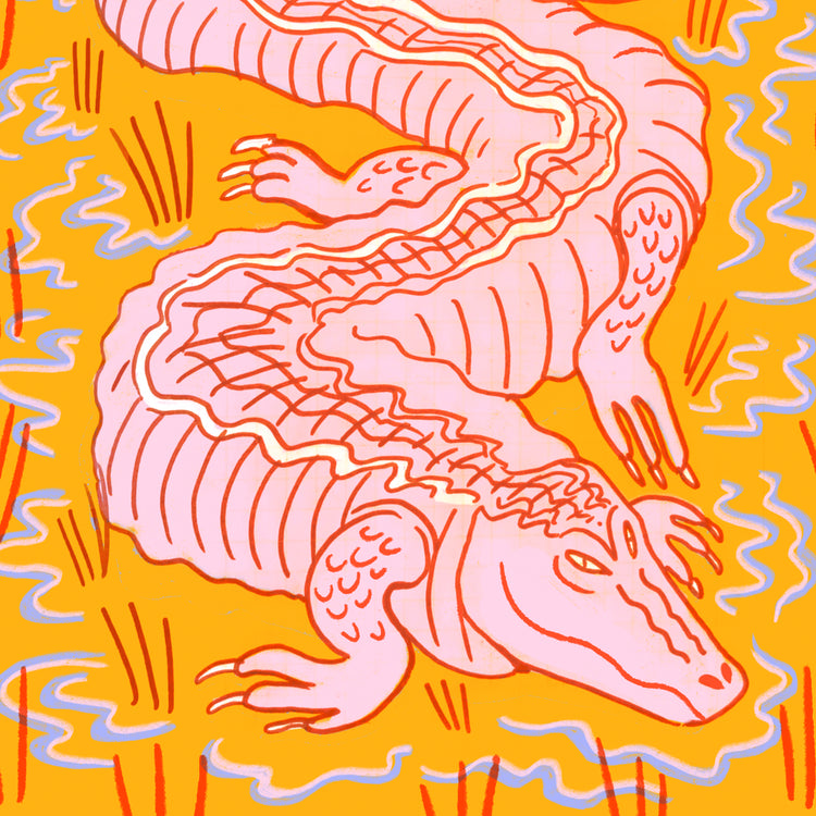 Illustration of a pink crocodile slithering through an orange swamp.