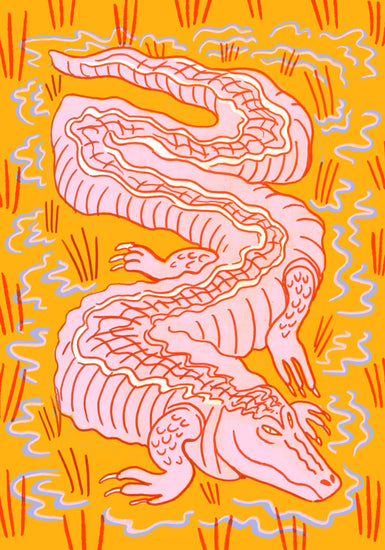 Illustration of a pink crocodile slithering through an orange swamp.