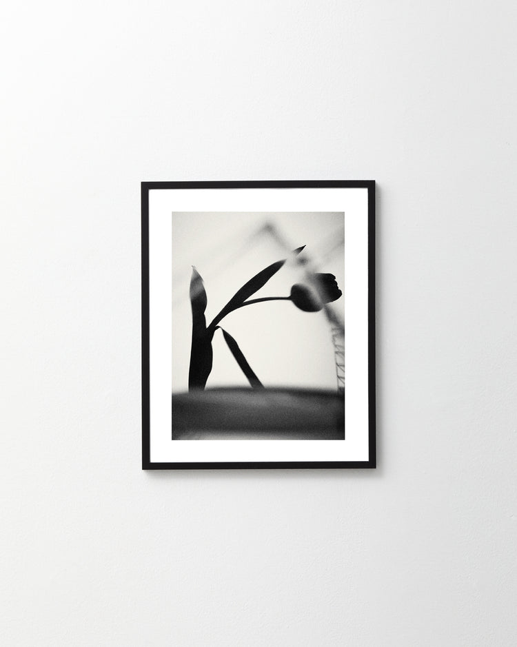 Chin Up Poster