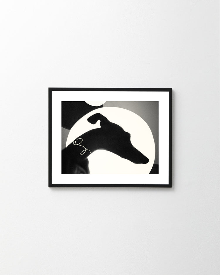 To Howl or Not to Howl Poster