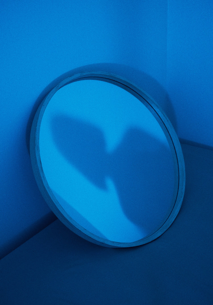 Cold Shadow Poster