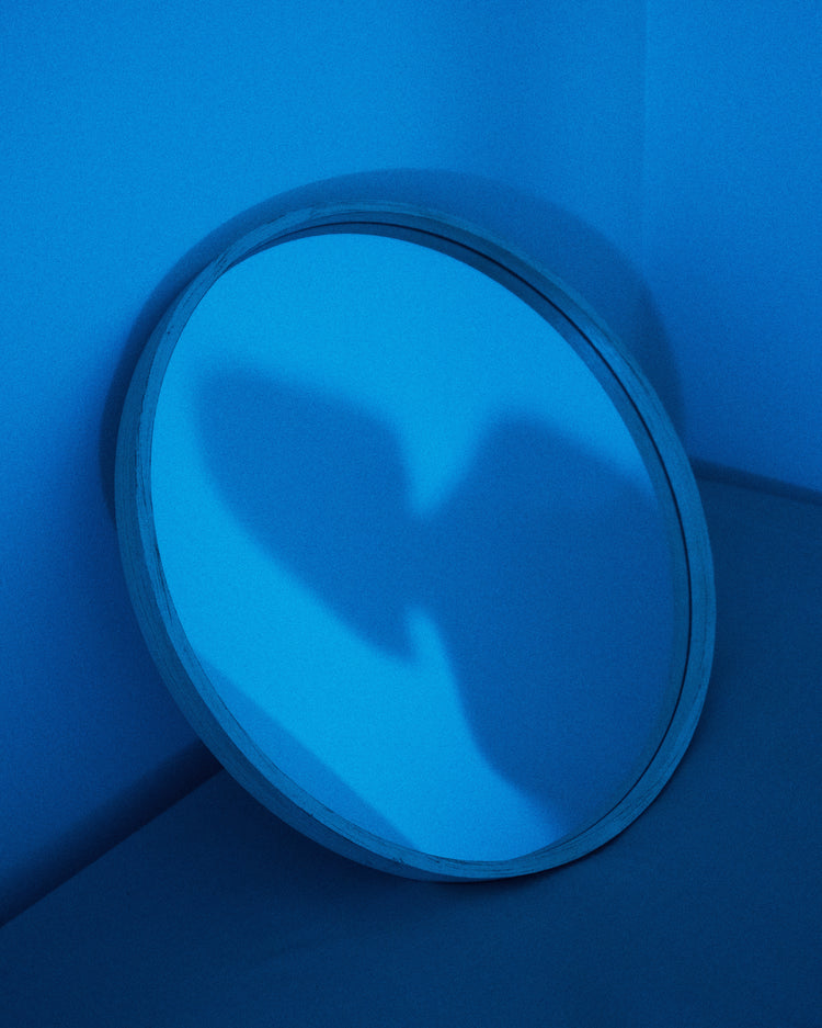 Cold Shadow Poster
