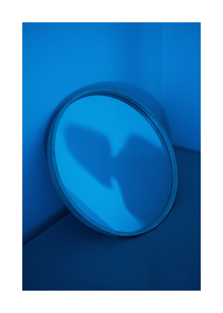 Cold Shadow Poster
