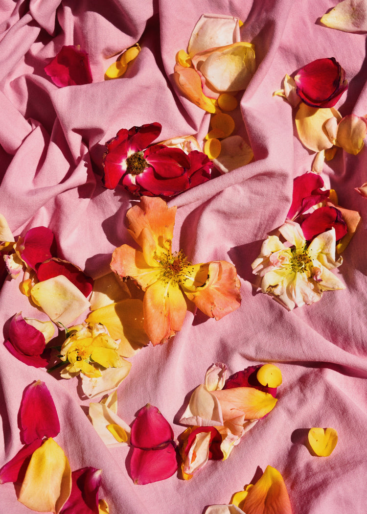 Fallen Garden Roses Poster