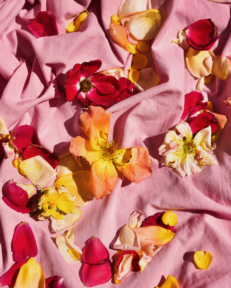 Fallen Garden Roses Poster