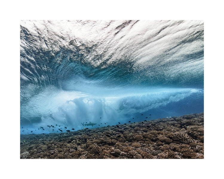 Wave crashing above a coral reef where fish and sharks are swimming.
