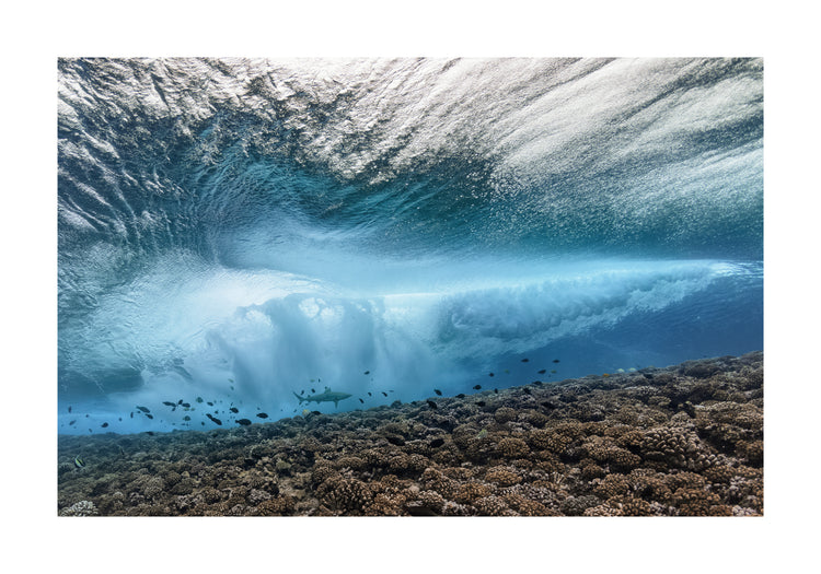 Wave crashing above a coral reef where fish and sharks are swimming.